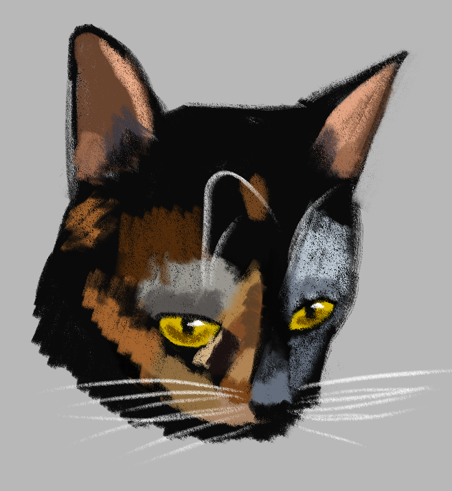 An angled picture of Mochi drawn in rough digital pencil, emphasizing light on the black
                portion of her face by coloring it gray.