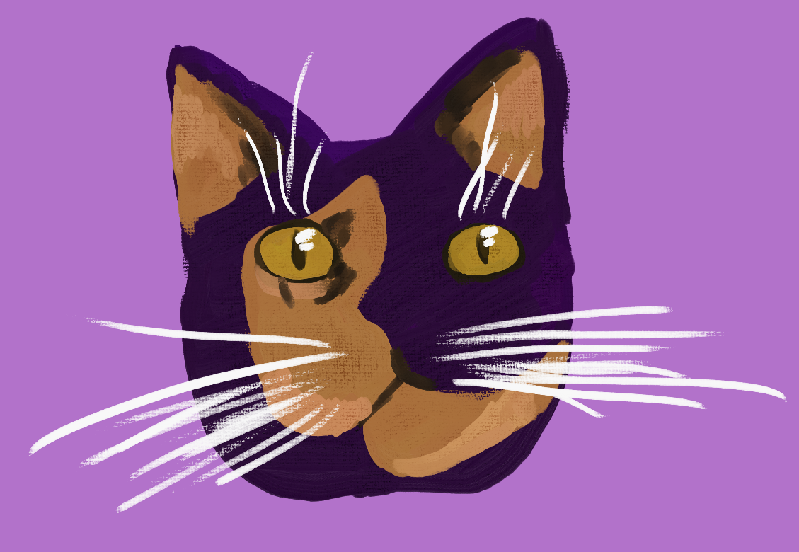 A more stylized rendering of Mochi's head, with the black painted as more of a dark purple
                to contrast with the orange on her face.